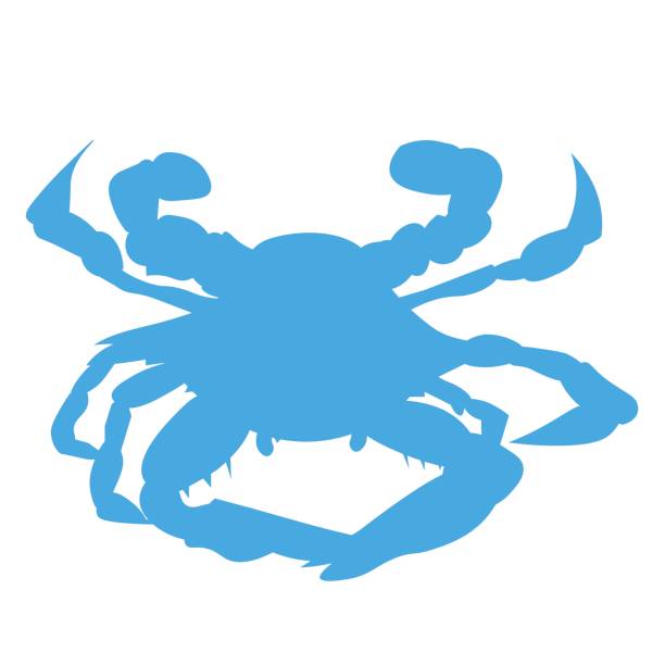 синий балтимор или мэриленд краб силуэт. чесапикский краб залива. - maryland blue crab stock illustrations