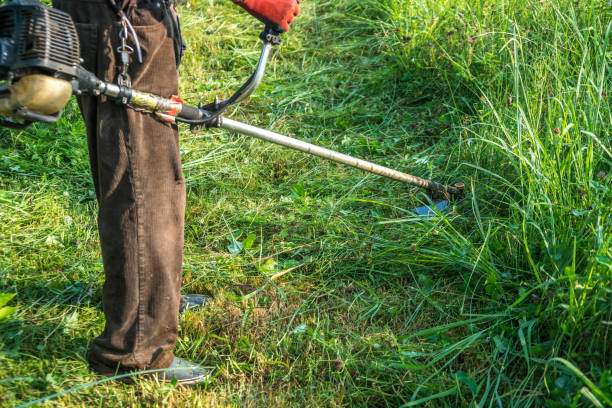 istock The gardener cutting grass by lawn mower 829616732
