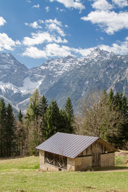 istock Pope's path near Lorenzago di Cadore 829624598