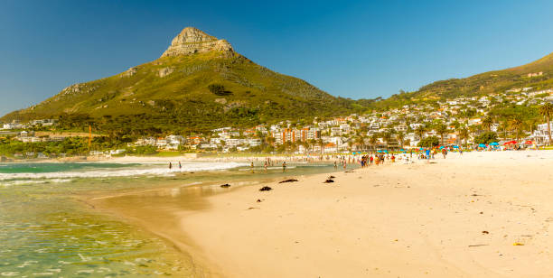 camps bay beach, na cidade do cabo, áfrica do sul - cape town beach crowd people - fotografias e filmes do acervo