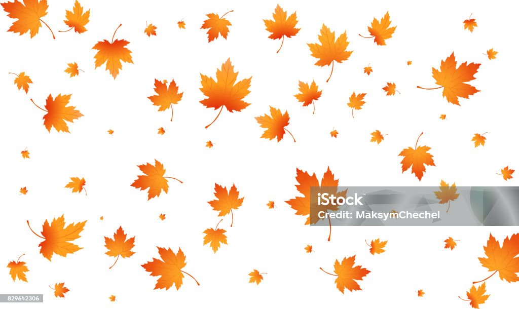 Las hojas de otoño otoño fondo. Vuelo arce hojas aislado. Fondo otoño Vector - arte vectorial de Fondos libre de derechos