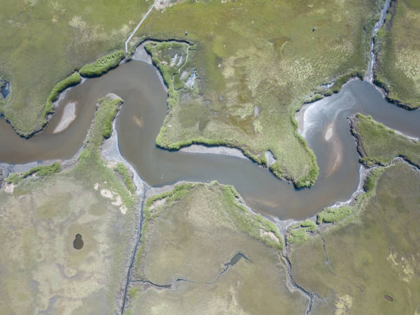 istock Aerial View of Marsh and Channel 829664564