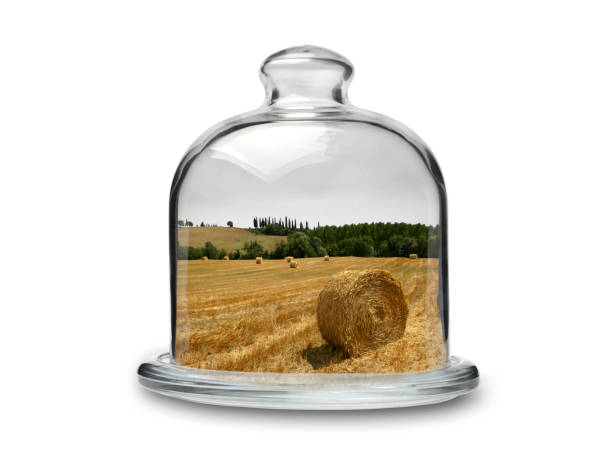Hay Bale in Crystal Cakestand