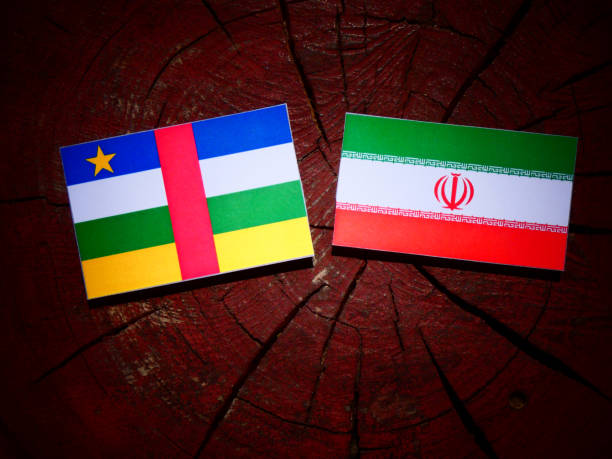 istock Central African Republic flag with Iranian flag on a tree stump isolated 829703298