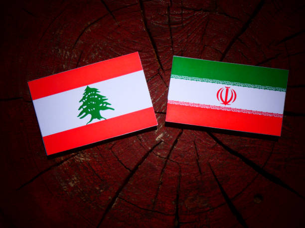 分離された木の切り株にイランの旗のレバノンの旗 - lebanese flag ストックフォトと画像