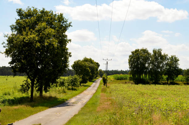 istock Small street between meadows and fields in the Lueneburg Heath (Lüneburger Heide) 829715802