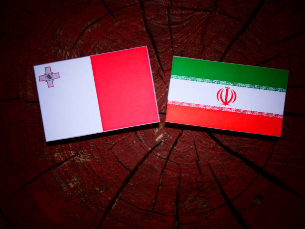 istock Maltese flag with Iranian flag on a tree stump isolated 829716176