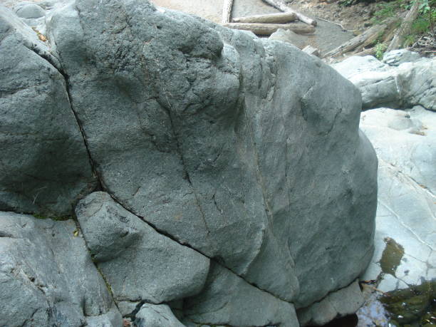istock A boulder with a smooth surface lays on the forest floor 829729150