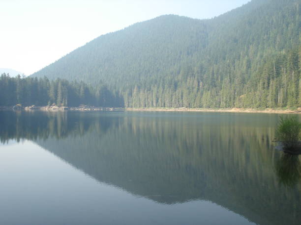 istock A mountain reflection in a calm lake in the morning 829729392