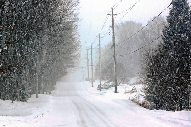 istock heavy snowfall rural winter roadway 829734640