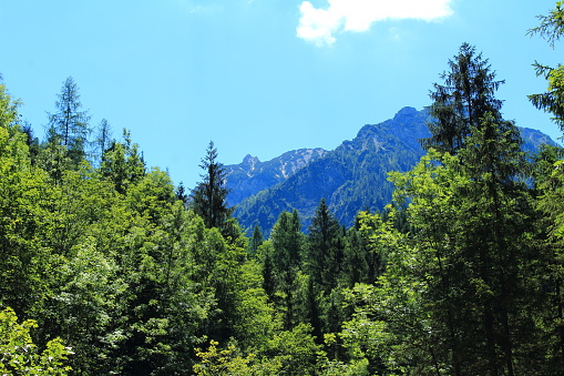 fantastic panorama in the mountains