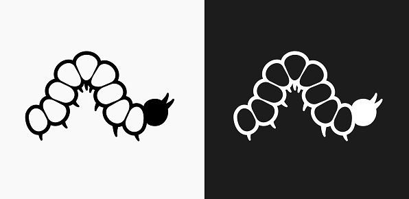Caterpillar Icon on Black and White Vector Backgrounds. This vector illustration includes two variations of the icon one in black on a light background on the left and another version in white on a dark background positioned on the right. The vector icon is simple yet elegant and can be used in a variety of ways including website or mobile application icon. This royalty free image is 100% vector based and all design elements can be scaled to any size.