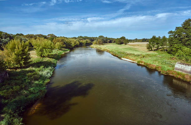 istock Trees growing on the river Warta ban 829742806
