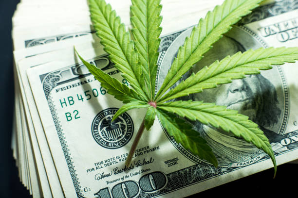 istock Money and marijuana 829758422