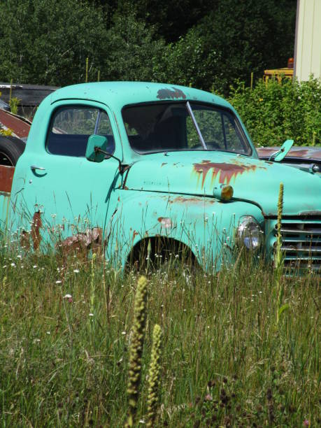 istock Field of Faded Dreams 829758726