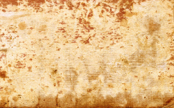 istock Weathered toned paper book cover. 829759048