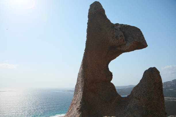 Hoburgsgubben (old man Hoburg) is a famous sea stack in southern Gotland island. When standing at a certain angle, the stack resembles a geezer's head.