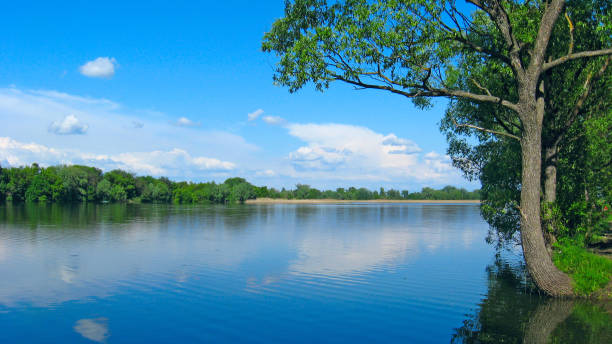 istock beautiful summer landscape with river and trees 829767844