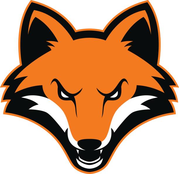 Fox head mascot - ilustração de arte vetorial