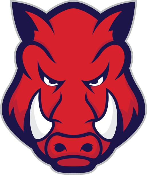Wild hog or boar head mascot - ilustração de arte vetorial