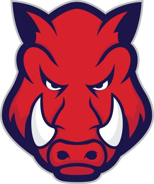 Wild hog or boar head mascot Clipart picture of a wild hog or boar head cartoon mascot logo character warthog stock illustrations