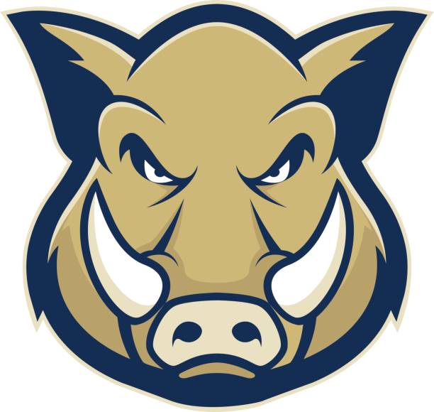 Wild hog or boar head mascot Clipart picture of a wild hog or boar head cartoon mascot logo character tusk stock illustrations