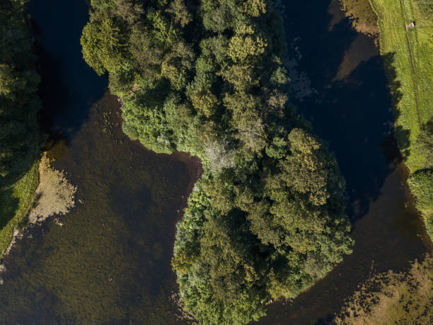 istock Aerial view to the trees in the park 829777598