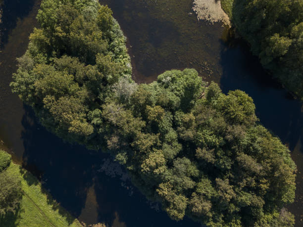 istock Aerial view to the trees in the park 829777740