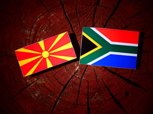 istock Macedonian flag with South African flag on a tree stump isolated 829778210