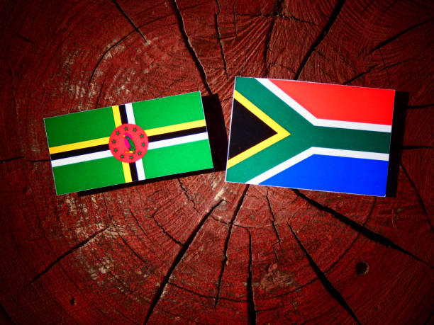 istock Dominica flag with South African flag on a tree stump isolated 829778568
