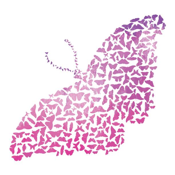 Butterfly A vector illustration of butterflies in the shape of a butterfly in watercolors. simple butterfly outline pictures stock illustrations