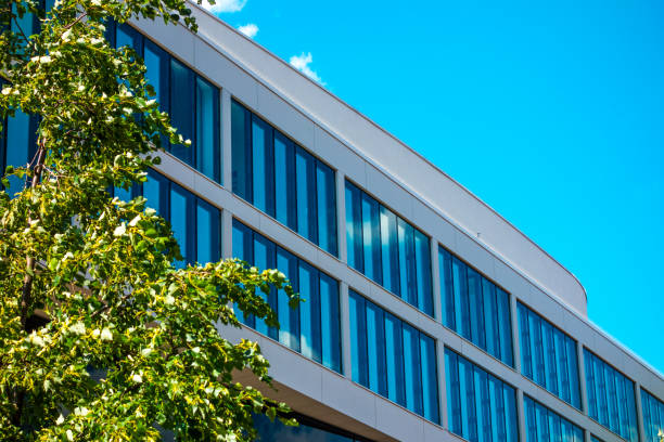 istock modern glass office facade in lines with green tree 829778766