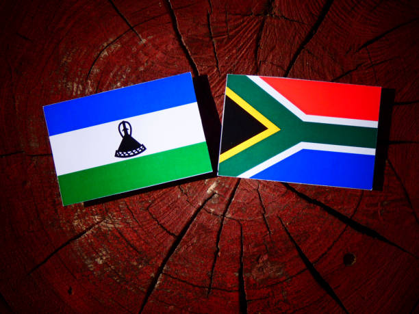 istock Lesotho flag with South African flag on a tree stump isolated 829781650