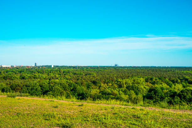 istock forest with city in the background 829782118