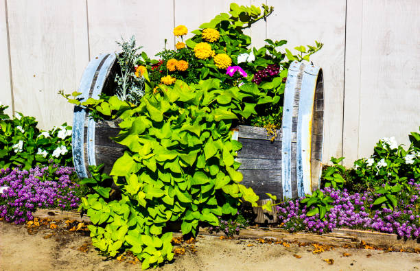 Outdoor Flowers In Cut Out Wooden Barrel
