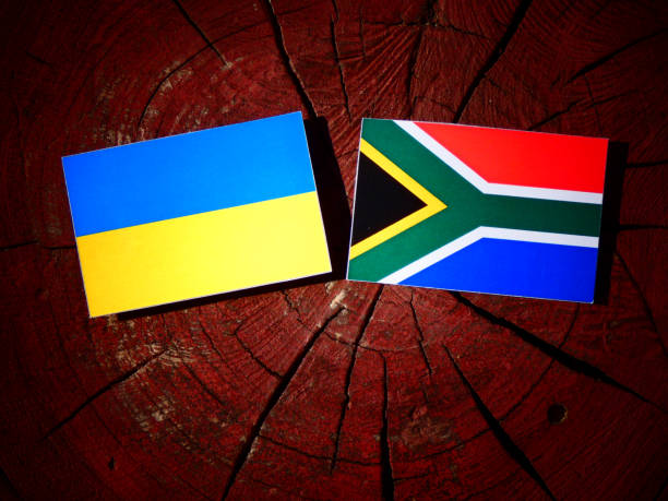 istock Ukrainian flag with South African flag on a tree stump isolated 829795232