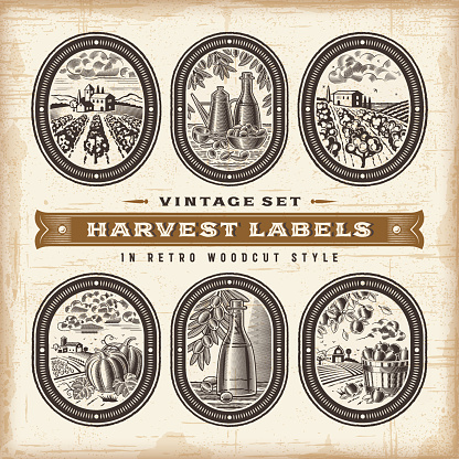 A set of vintage harvest labels in retro woodcut style. Editable EPS10 vector illustration with clipping mask.