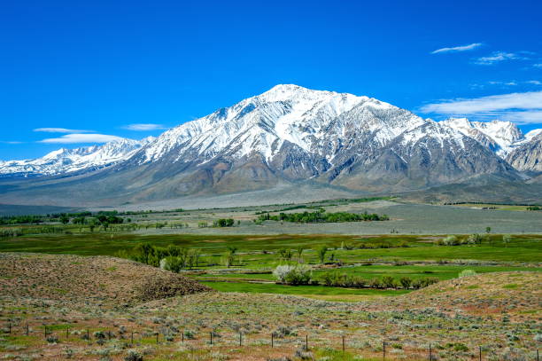 istock California Sierra Nevada, California 829798766