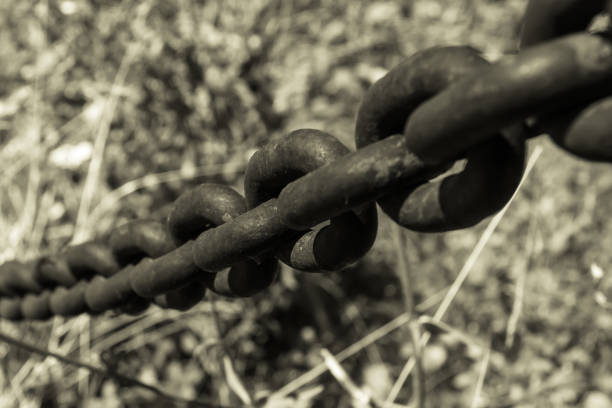 istock Black metal chain - monochrome 829799560