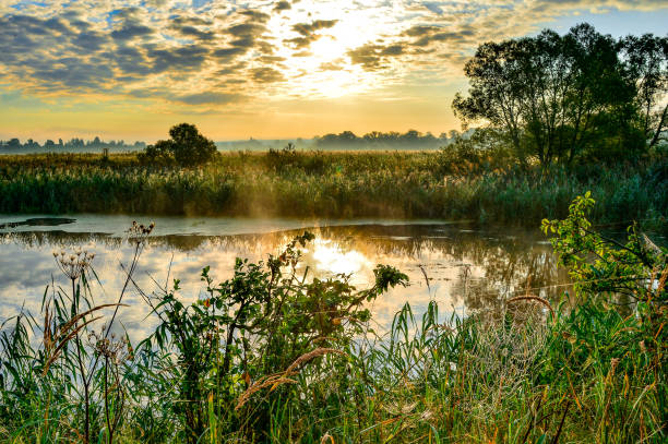 istock Photo with a sunny summer sunrise over the river 829806404