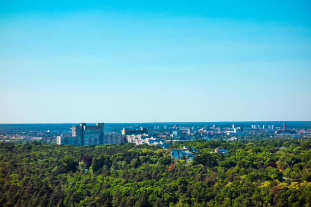 istock big houses in a forest 829806712