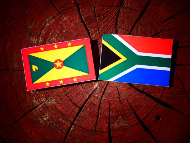 istock Grenada flag with South African flag on a tree stump isolated 829809298