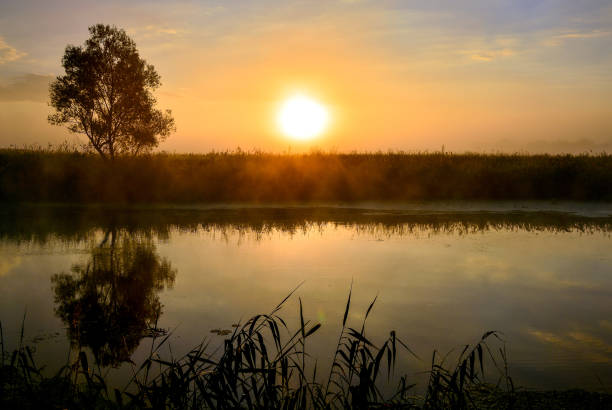istock Photo with a summer sunrise by river and tree 829818906
