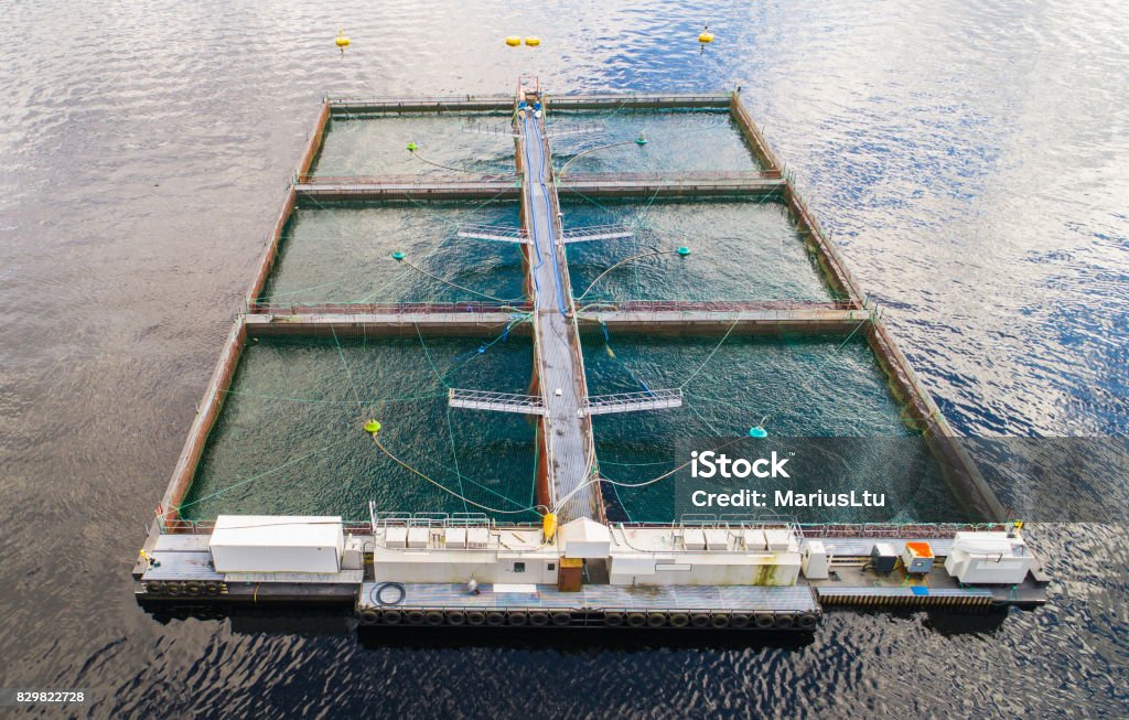 Salmon fish farm. Hordaland, Norway. Aquaculture Stock Photo