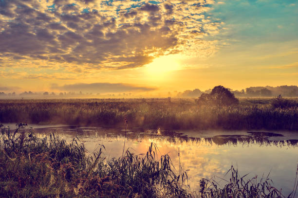 istock Photo with a sunny summer sunrise over the river 829826290