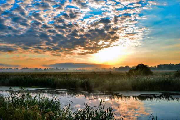 istock Photo with a sunny summer sunrise over the river 829844140