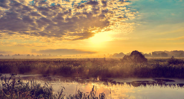 istock Photo with a sunny summer sunrise over the river 829844620