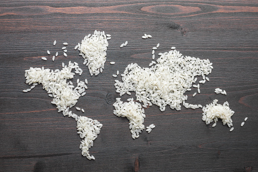 Rice grain seeds are transformed into world map on brown wooden desk.No people are seen in frame.Shot with a medium format camera from a high angle point in close up.Horizontal framing.