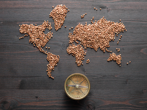 Buckwheat grain seeds are formed into world map on brown wooden desk.Compass is seen on down side.No people are seen in frame.Shot with a medium format camera from a high angle point in close up.Horizontal framing.