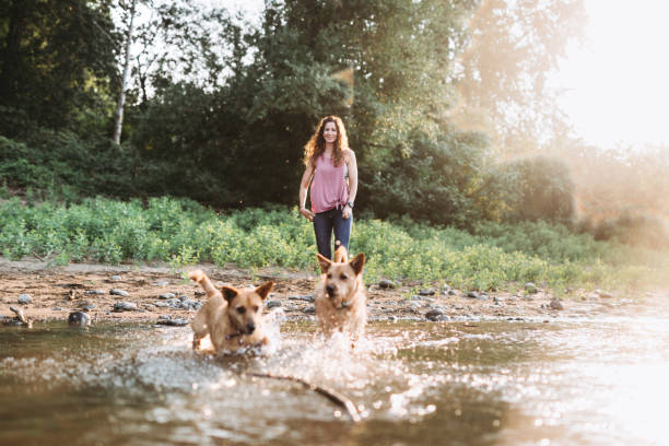 istock Woman Playing With Dogs at River 829919166